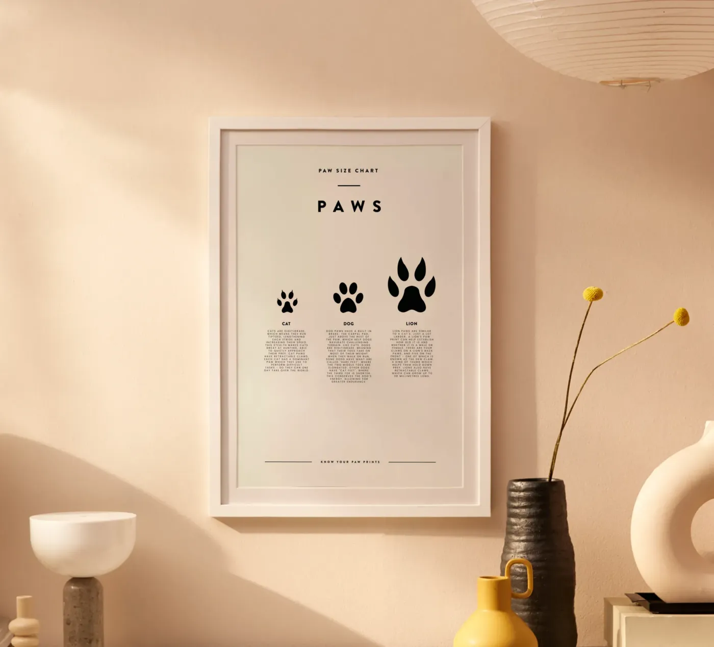 Animal sizing chart poster da daylight design studio