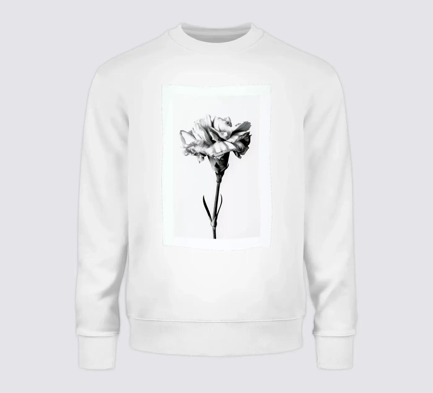 Carnation felpa da Flora & Fauna
