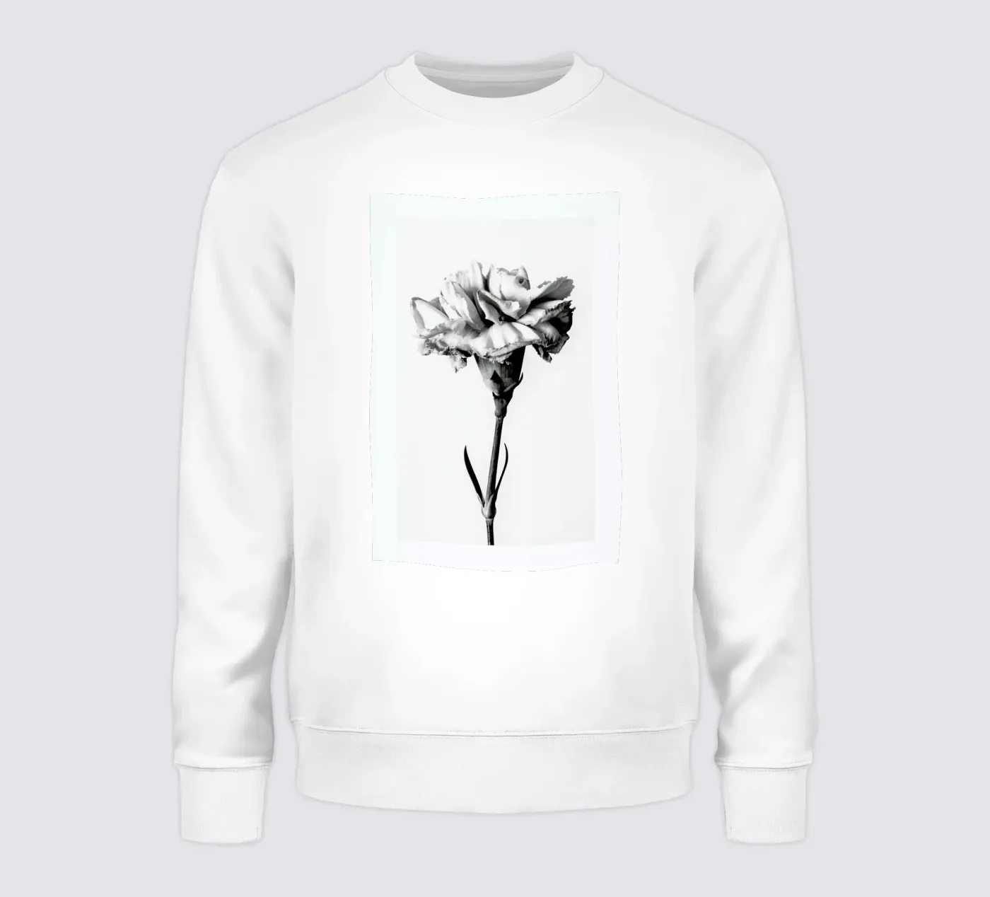 Carnation felpa da Flora & Fauna