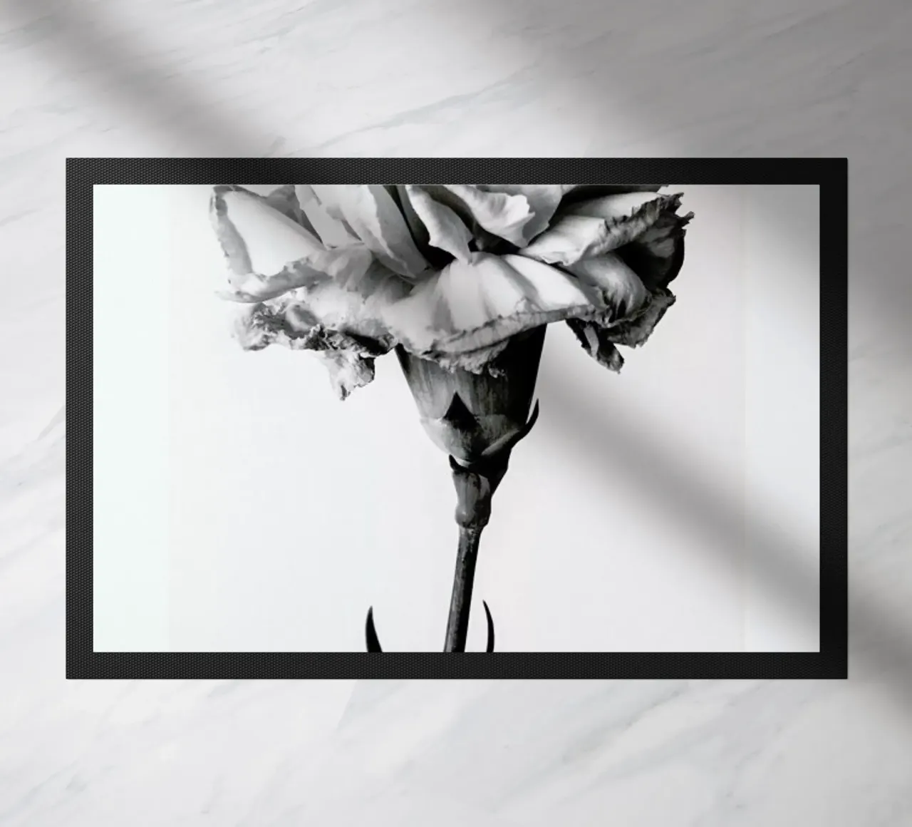 Carnation zerbino da Flora & Fauna