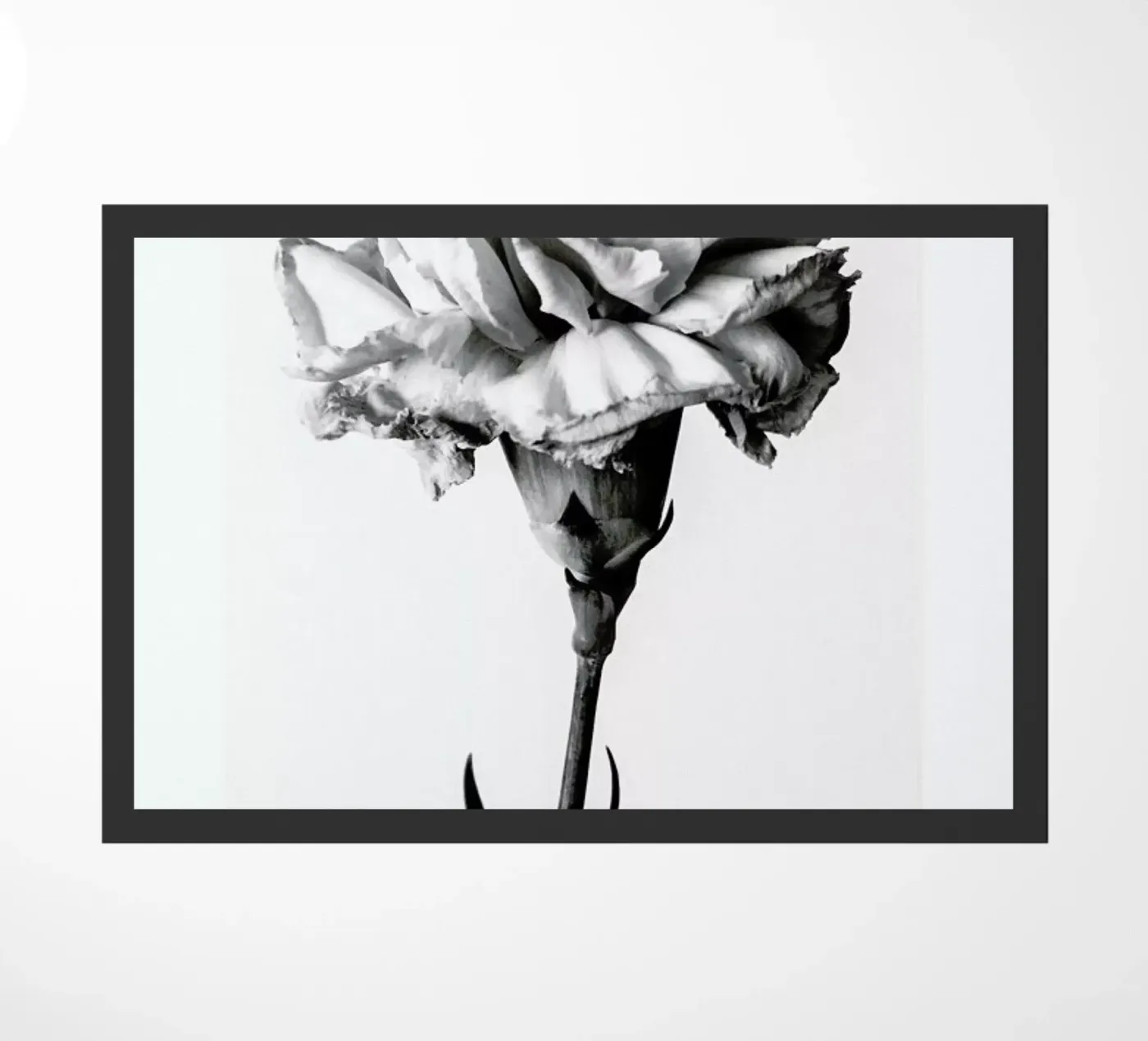 Carnation doormat by Flora & Fauna