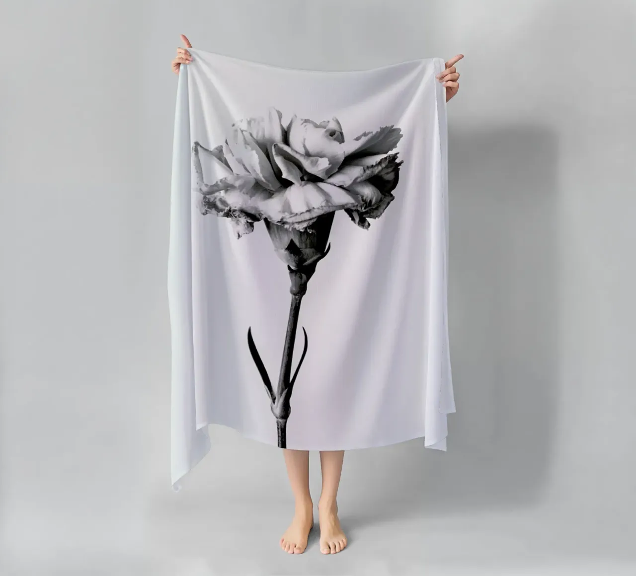 Carnation telo mare da Flora & Fauna