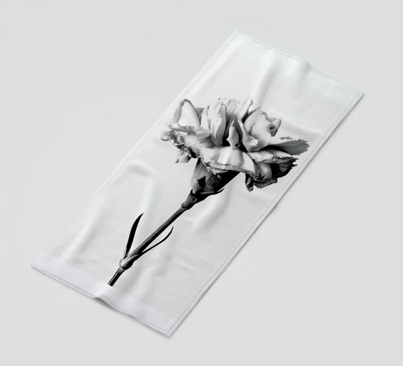 Carnation telo mare da Flora & Fauna