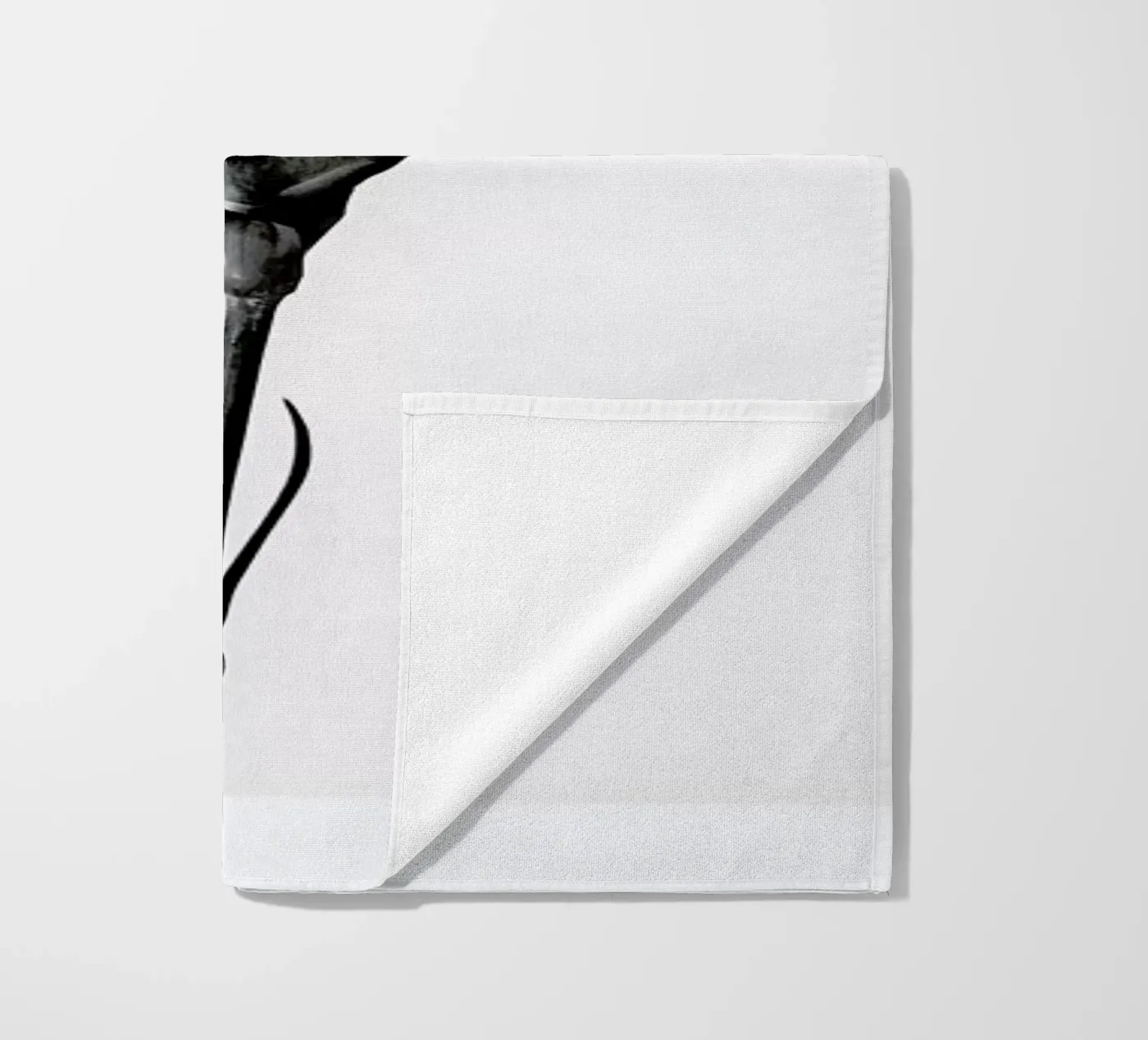 Carnation telo mare da Flora & Fauna