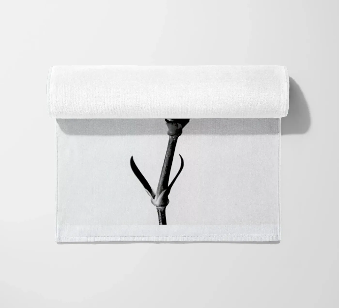 Carnation telo mare da Flora & Fauna