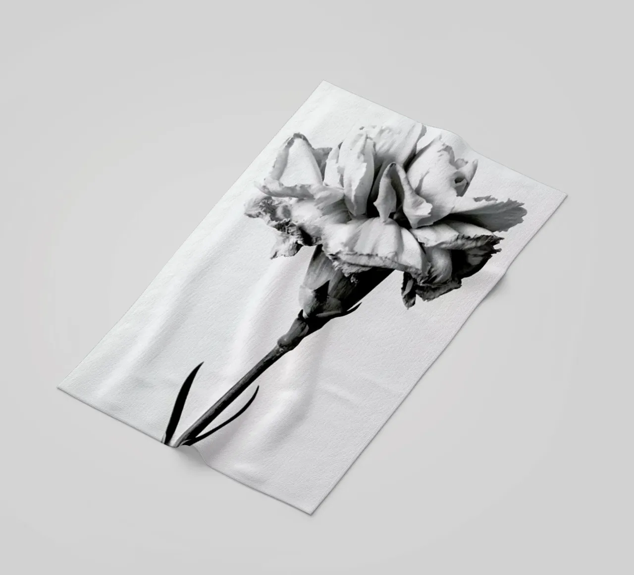 Carnation telo mare da Flora & Fauna