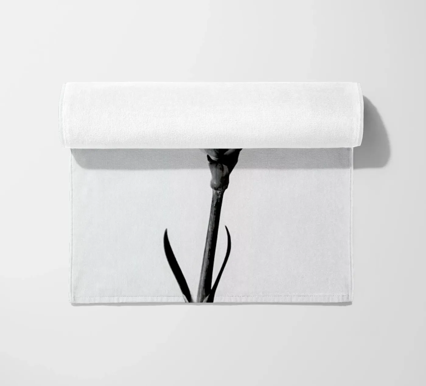 Carnation telo mare da Flora & Fauna