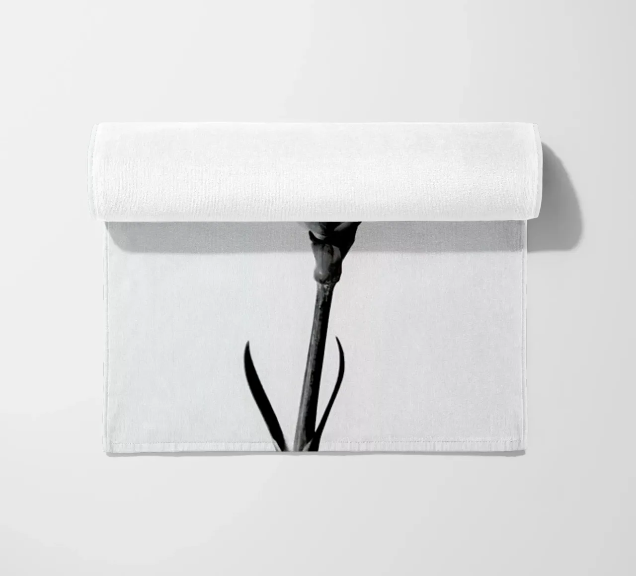 Carnation telo mare da Flora & Fauna