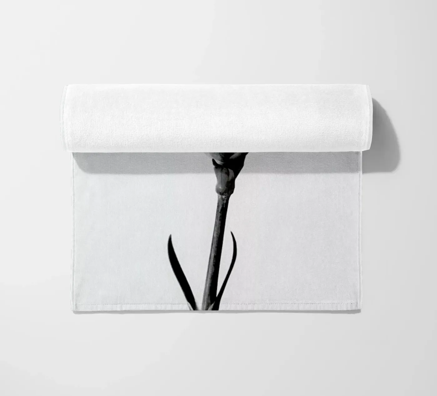 Carnation telo mare da Flora & Fauna