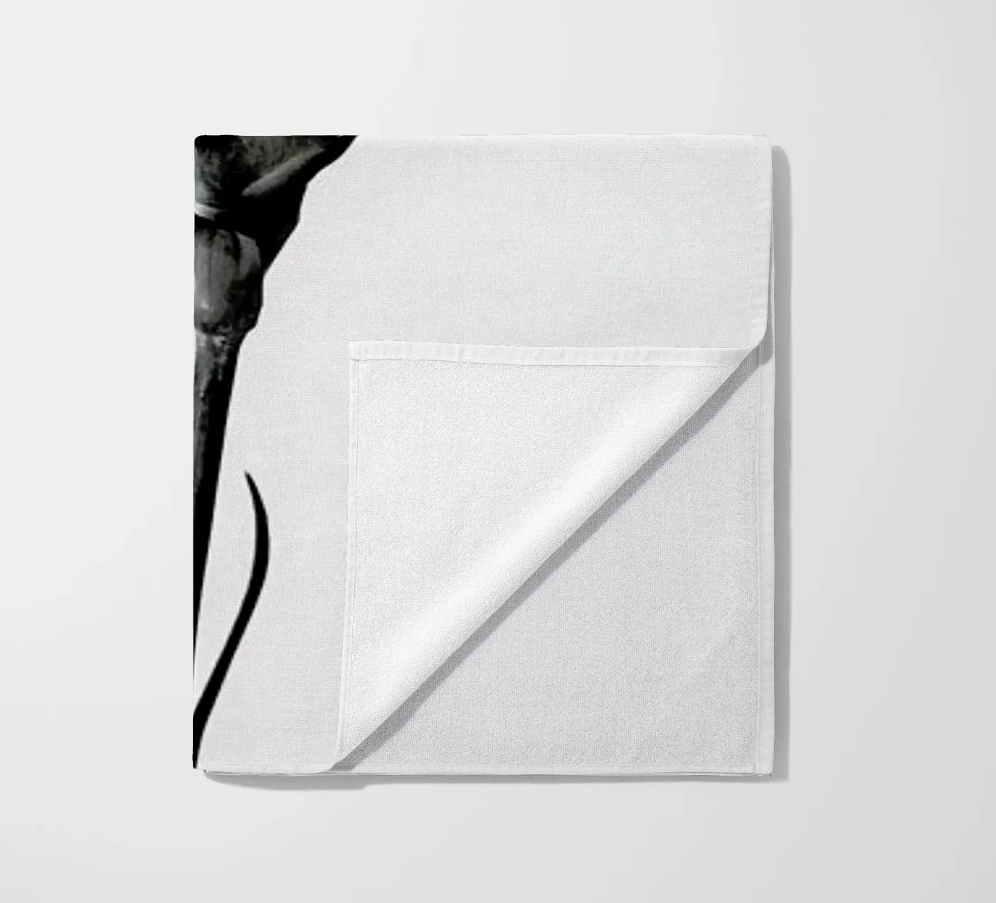 Carnation telo mare da Flora & Fauna