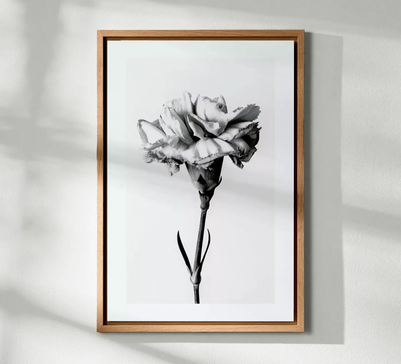 Carnation pannello forex da Flora & Fauna