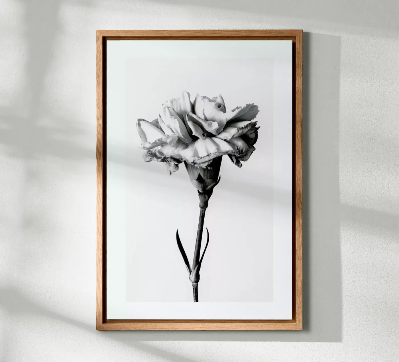 Carnation tela da Flora & Fauna