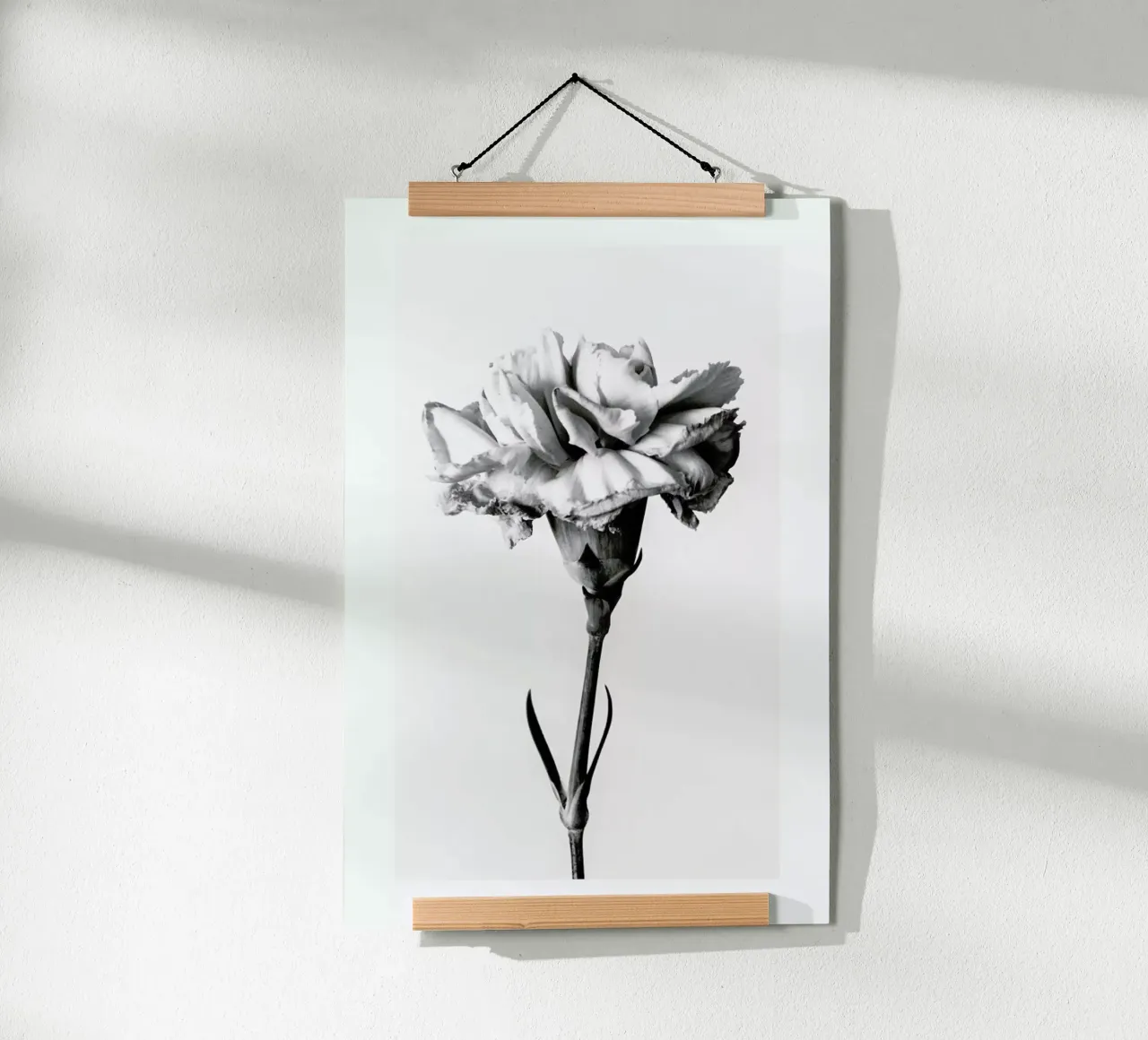 Carnation poster da Flora & Fauna
