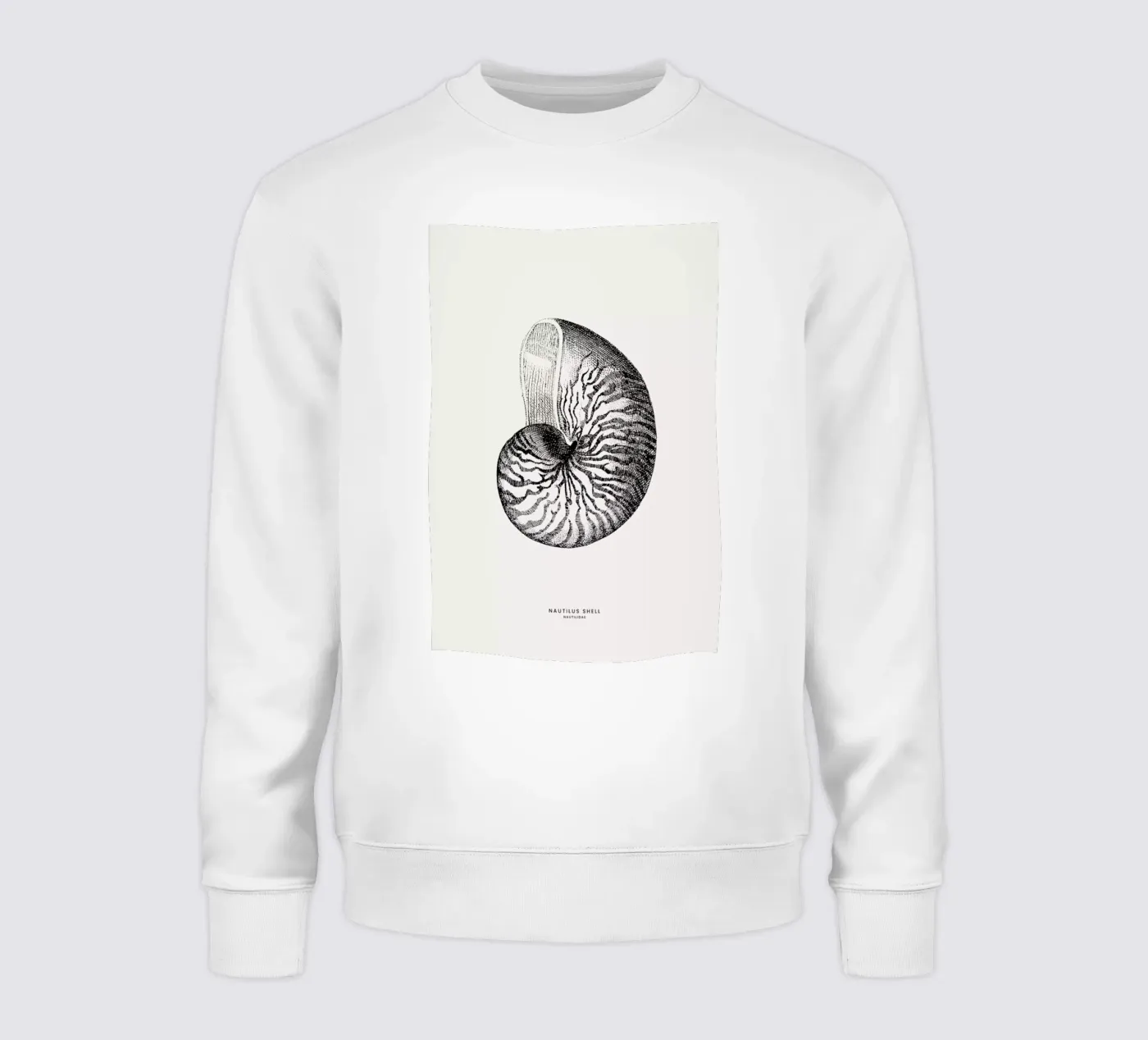 Nautilus Shell felpa da Flora & Fauna