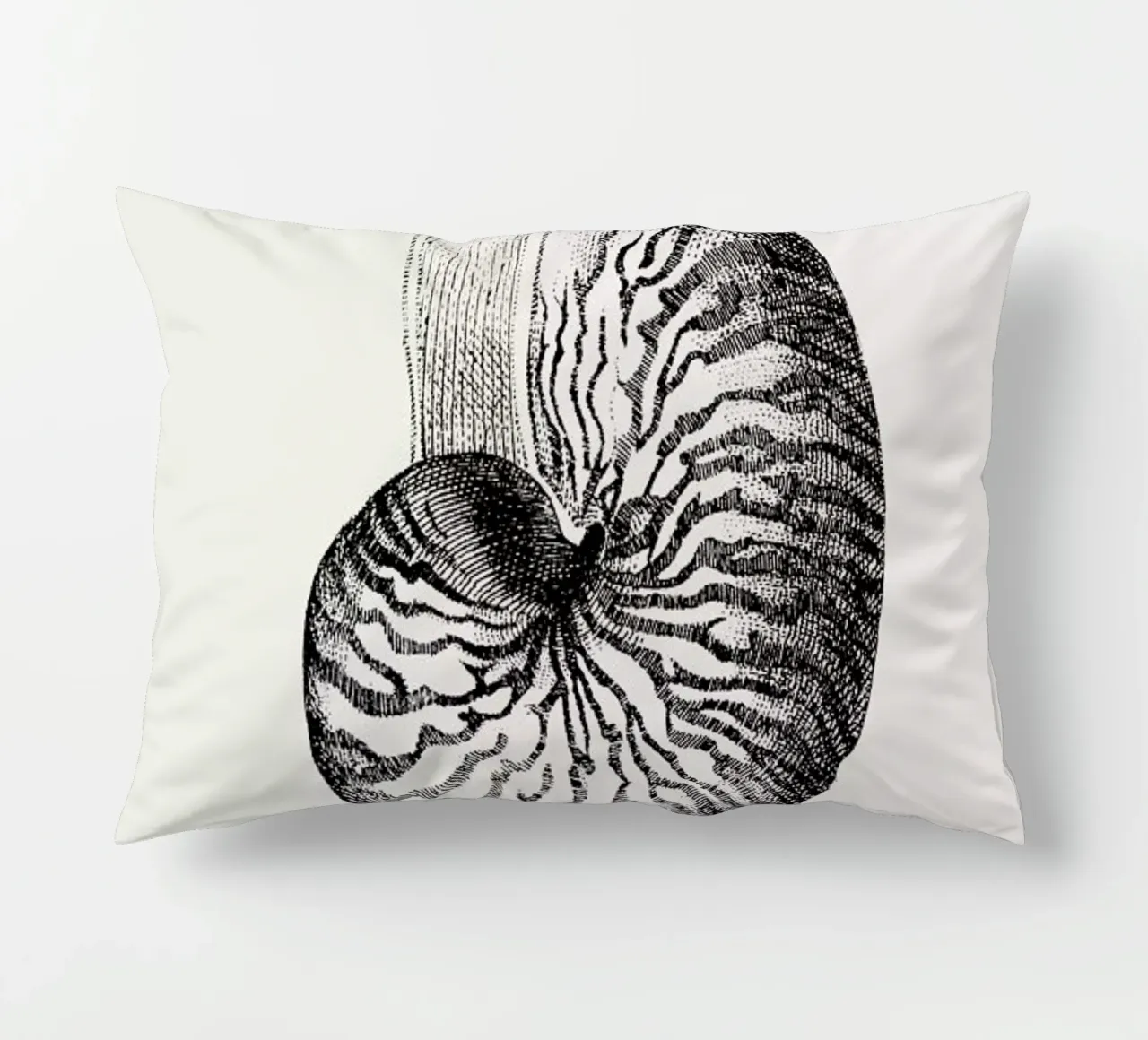 Nautilus Shell cuscino da Flora & Fauna