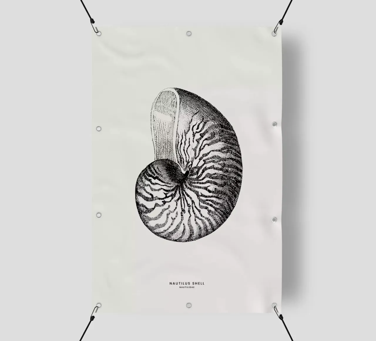 Nautilus Shell telo in pvc da Flora & Fauna