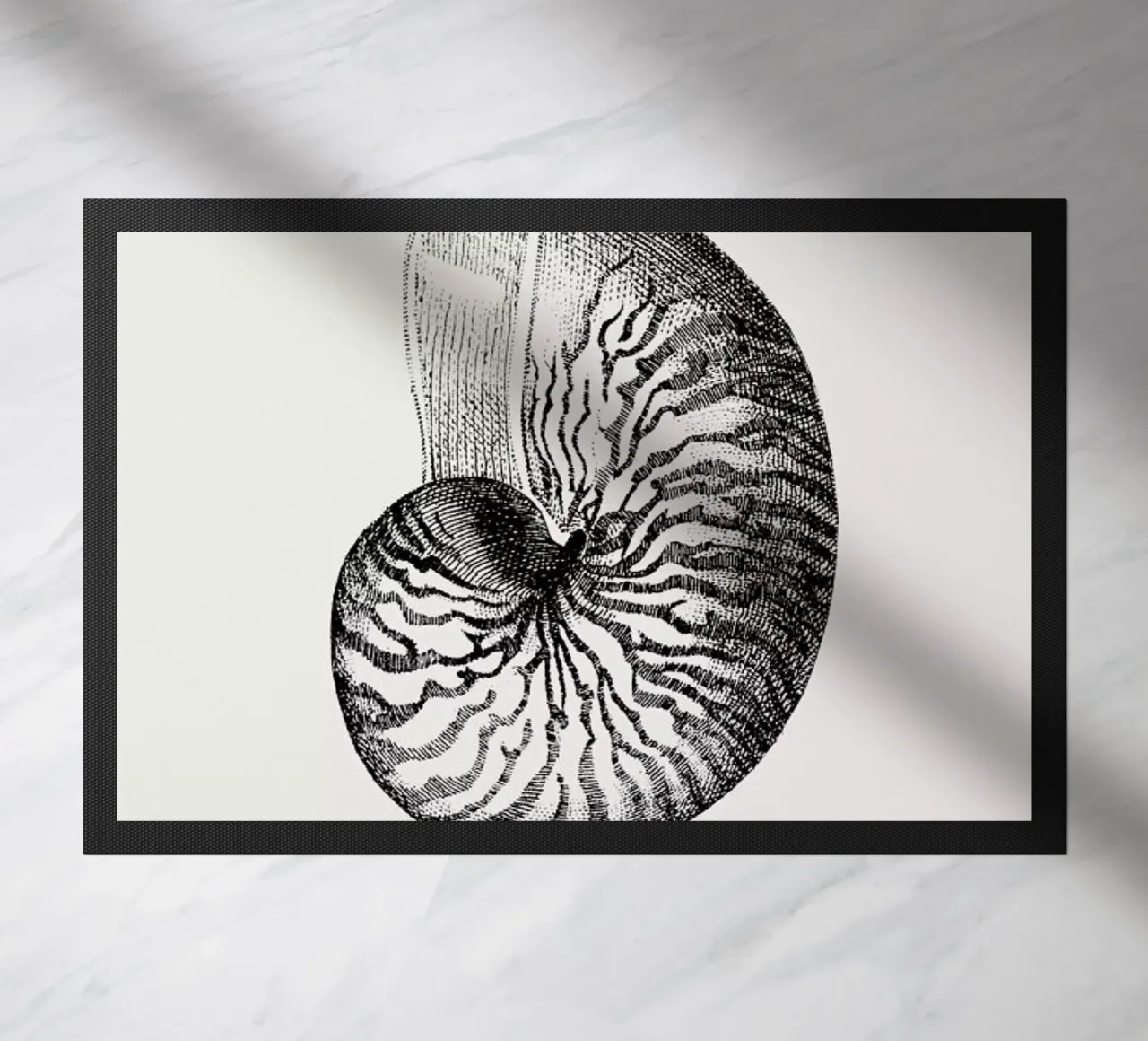 Nautilus Shell zerbino da Flora & Fauna