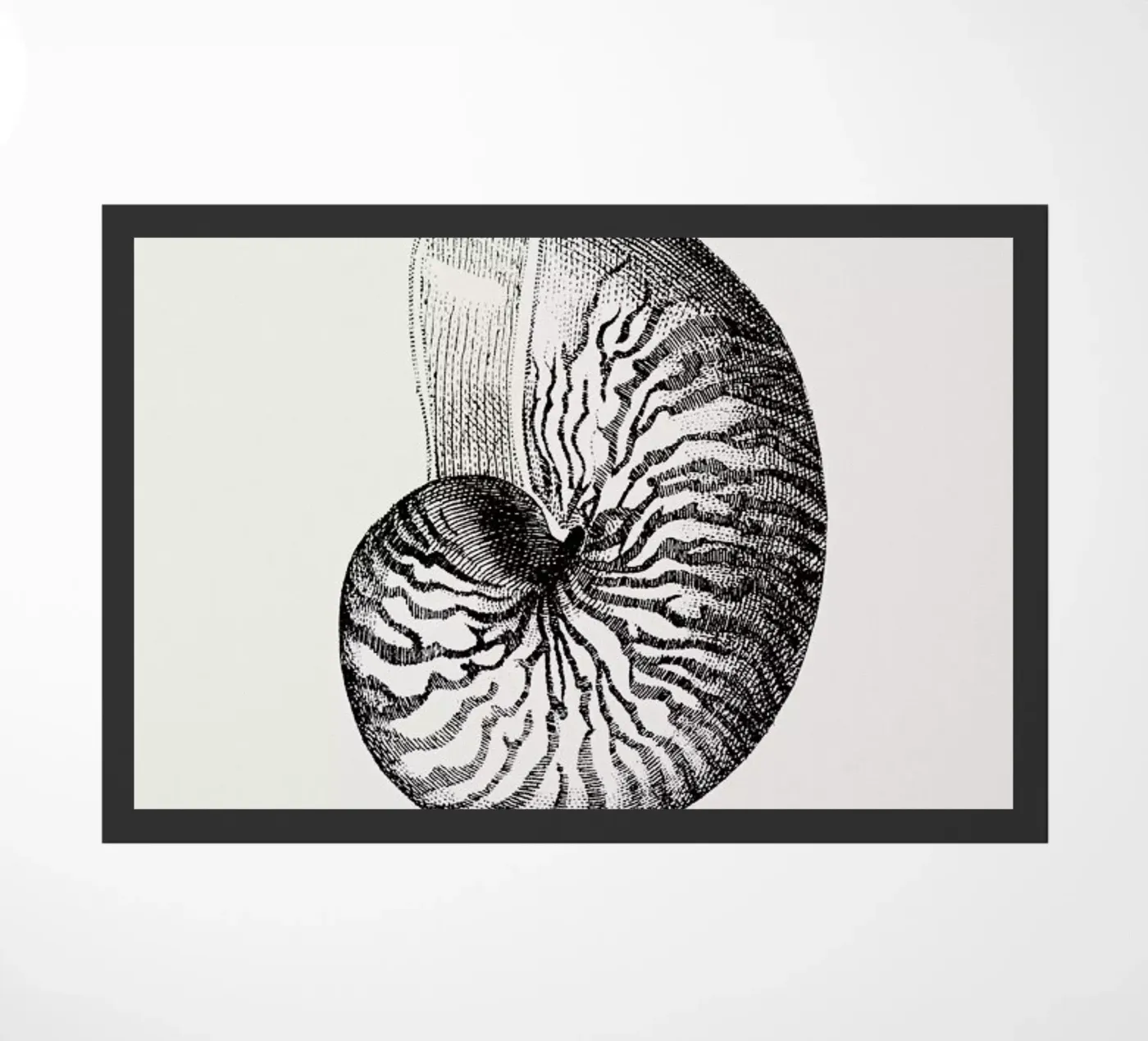 Nautilus Shell doormat by Flora & Fauna