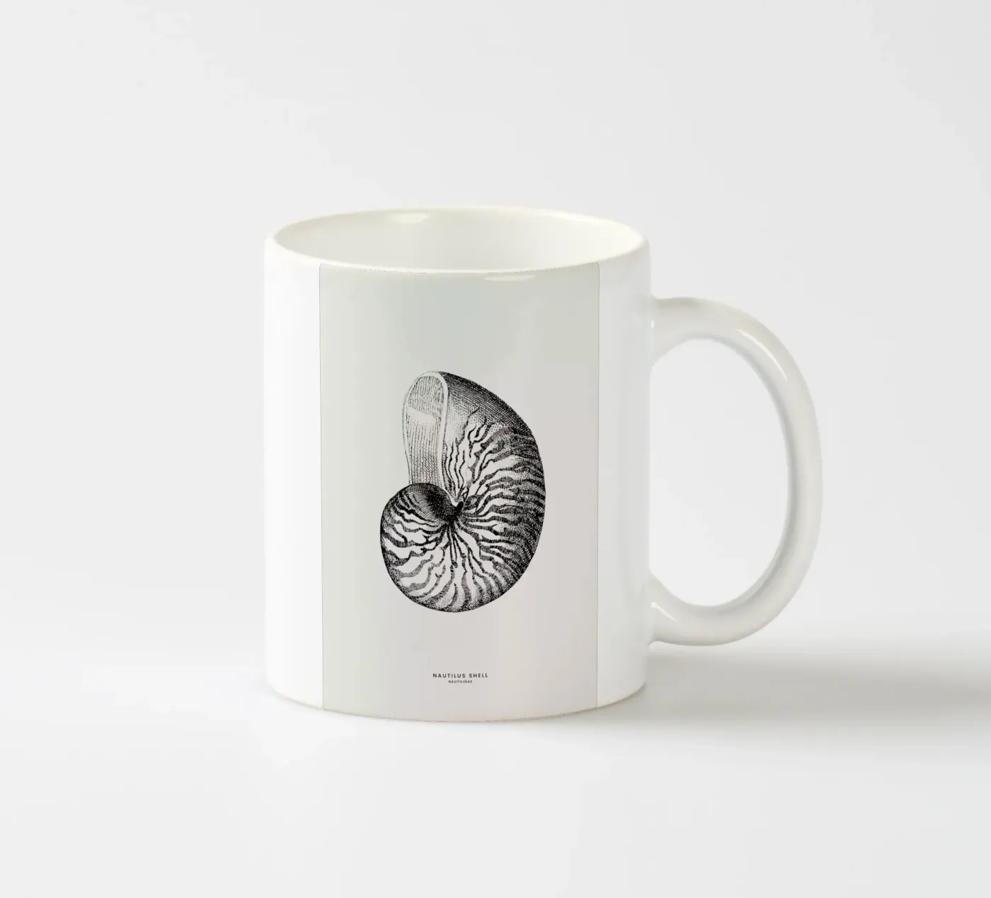 Nautilus Shell ceramic mug by Flora & Fauna