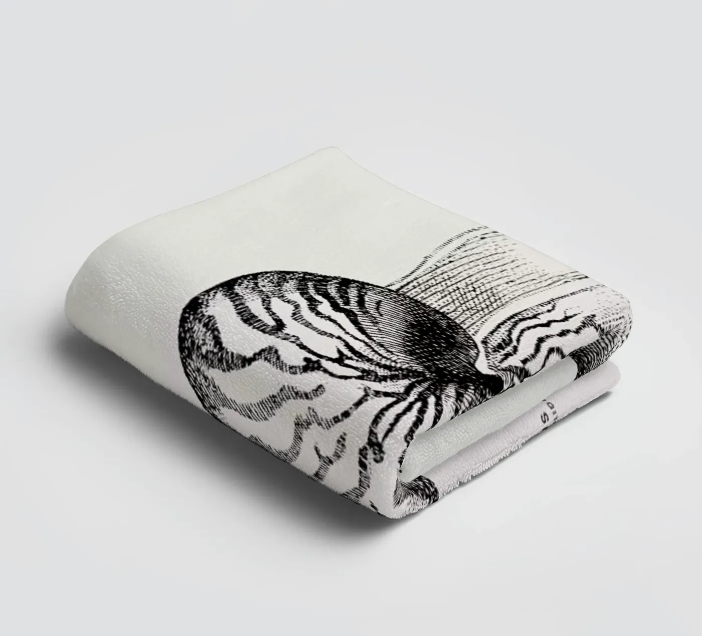 Nautilus Shell Handtuch von Flora & Fauna