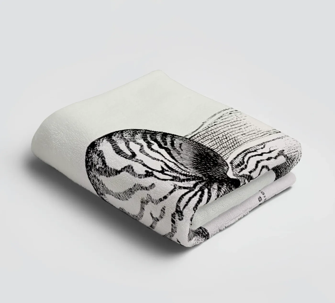 Nautilus Shell towel by Flora & Fauna