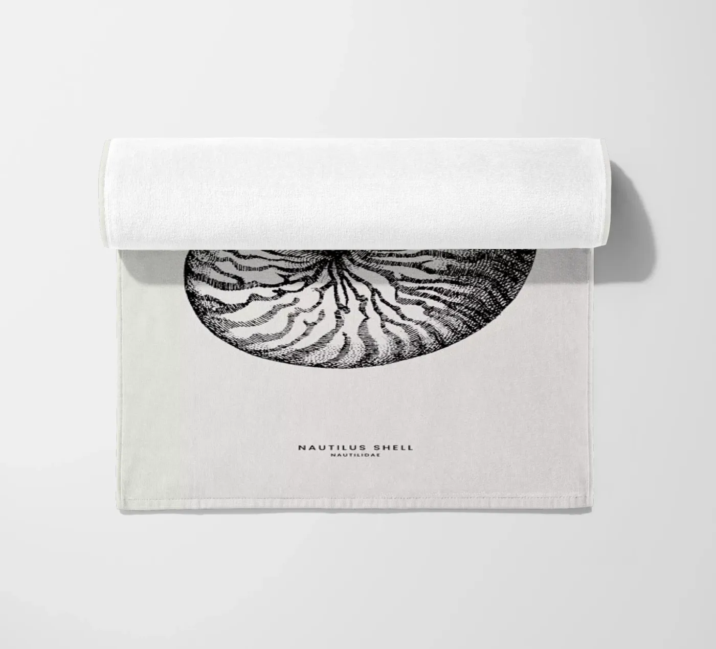 Nautilus Shell beach towel by Flora & Fauna