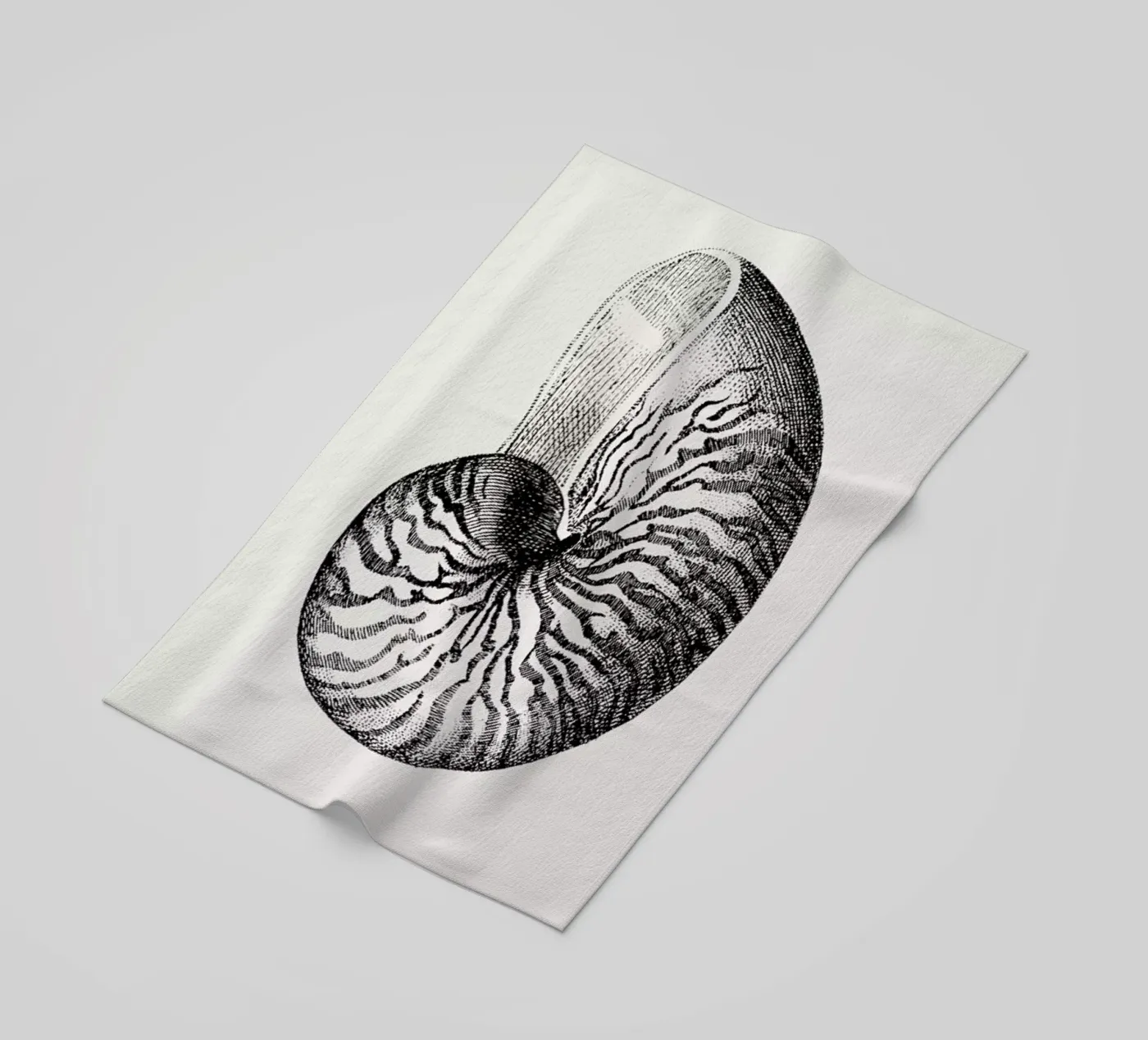 Nautilus Shell beach towel by Flora & Fauna