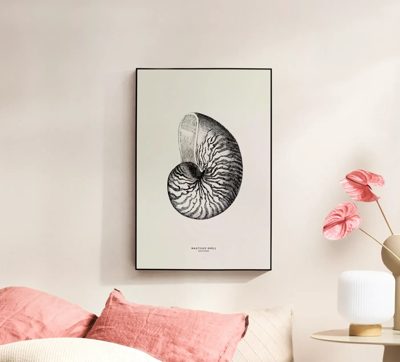 Nautilus Shell plexiglass da Flora & Fauna