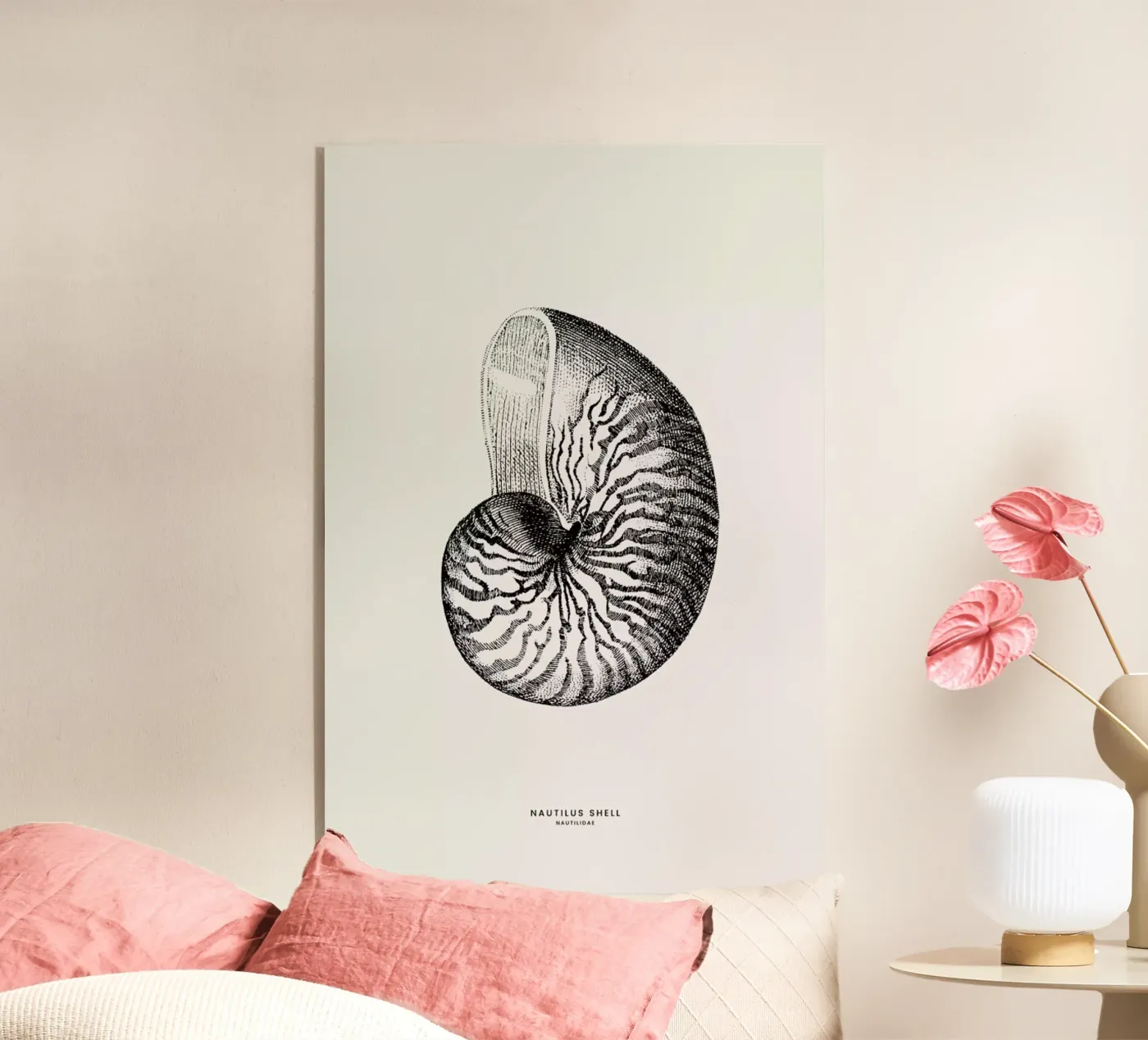 Nautilus Shell plexiglass da Flora & Fauna
