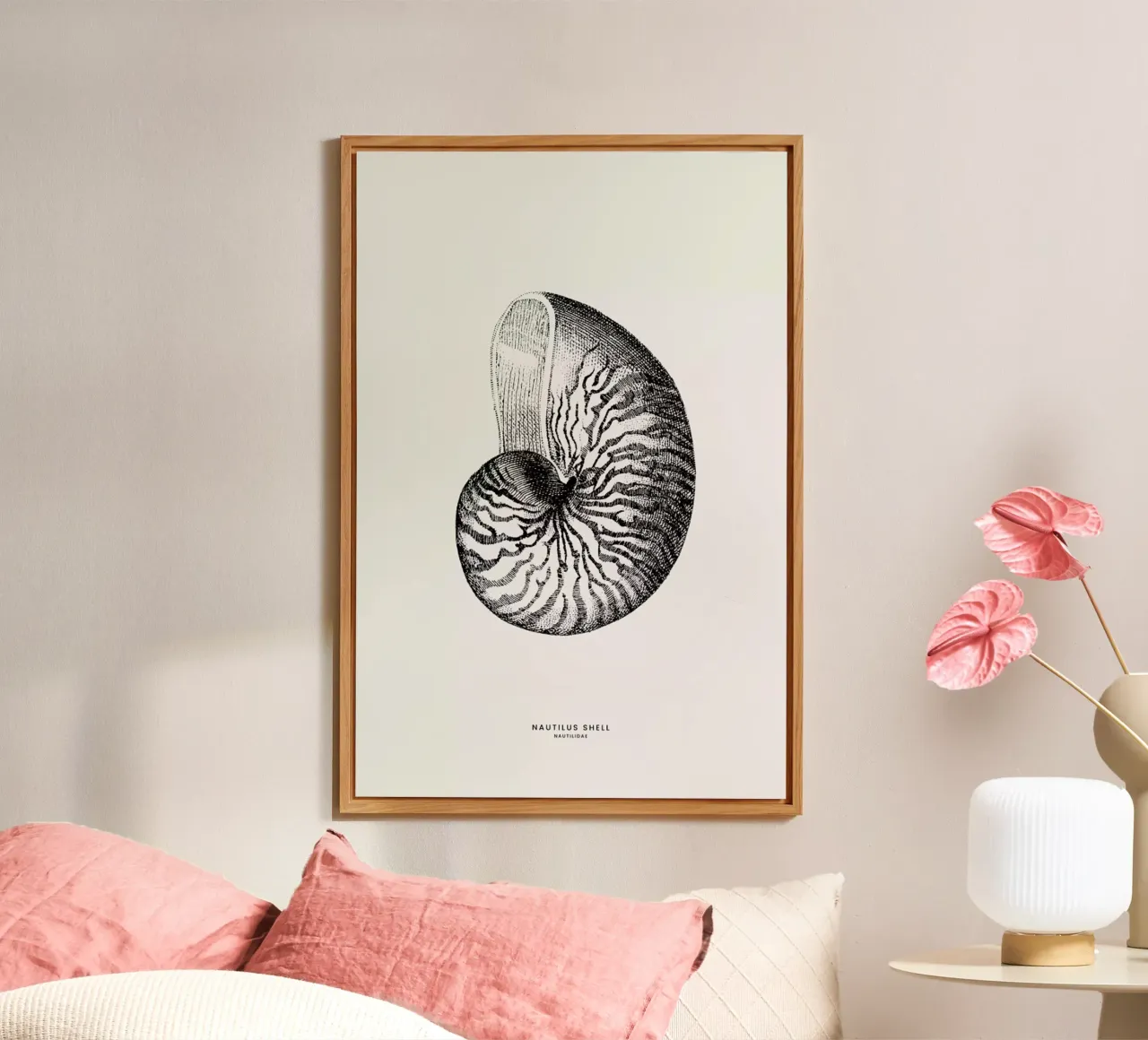 Nautilus Shell pannello forex da Flora & Fauna