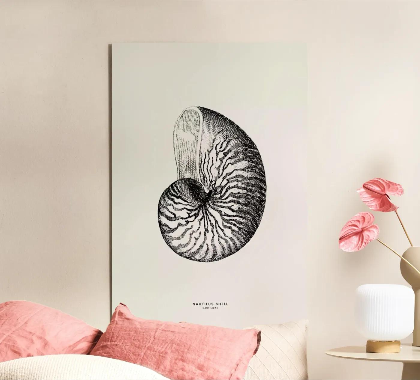 Nautilus Shell pannello forex da Flora & Fauna