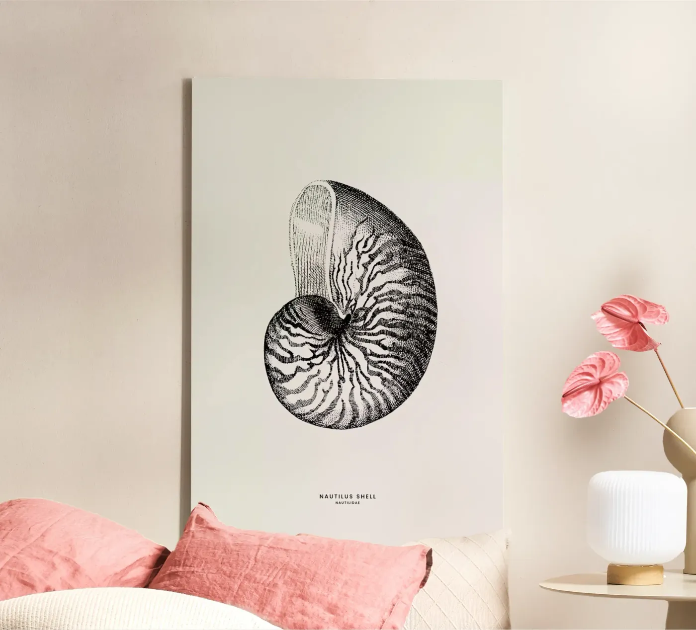 Nautilus Shell tela da Flora & Fauna