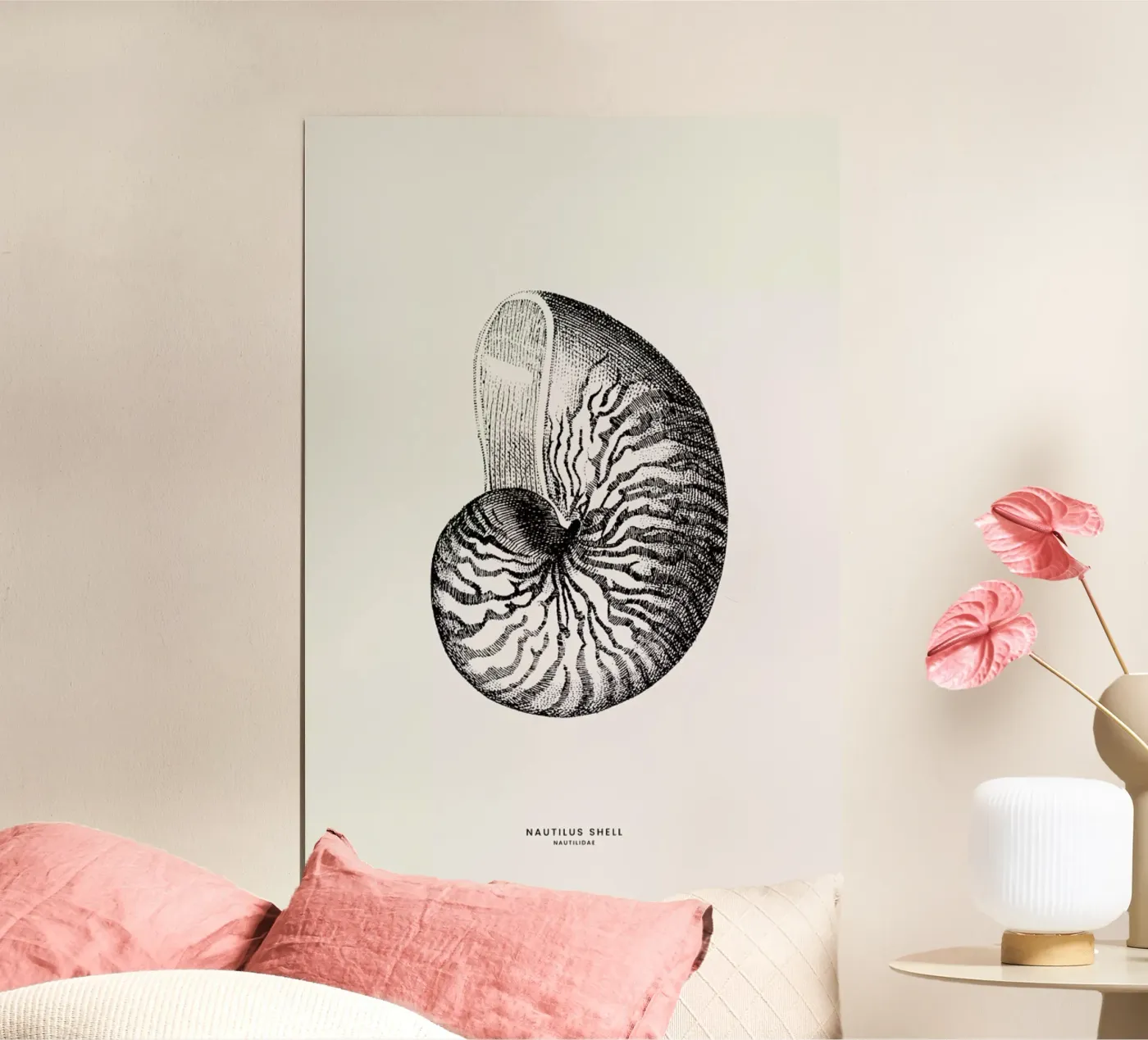 Nautilus Shell poster by Flora & Fauna
