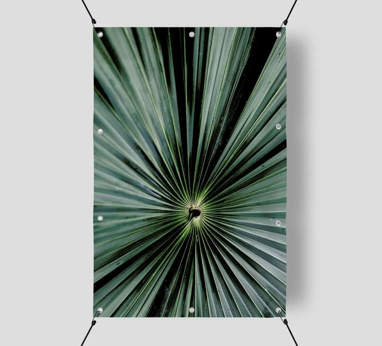 Spiral Palm telo in pvc da Flora & Fauna