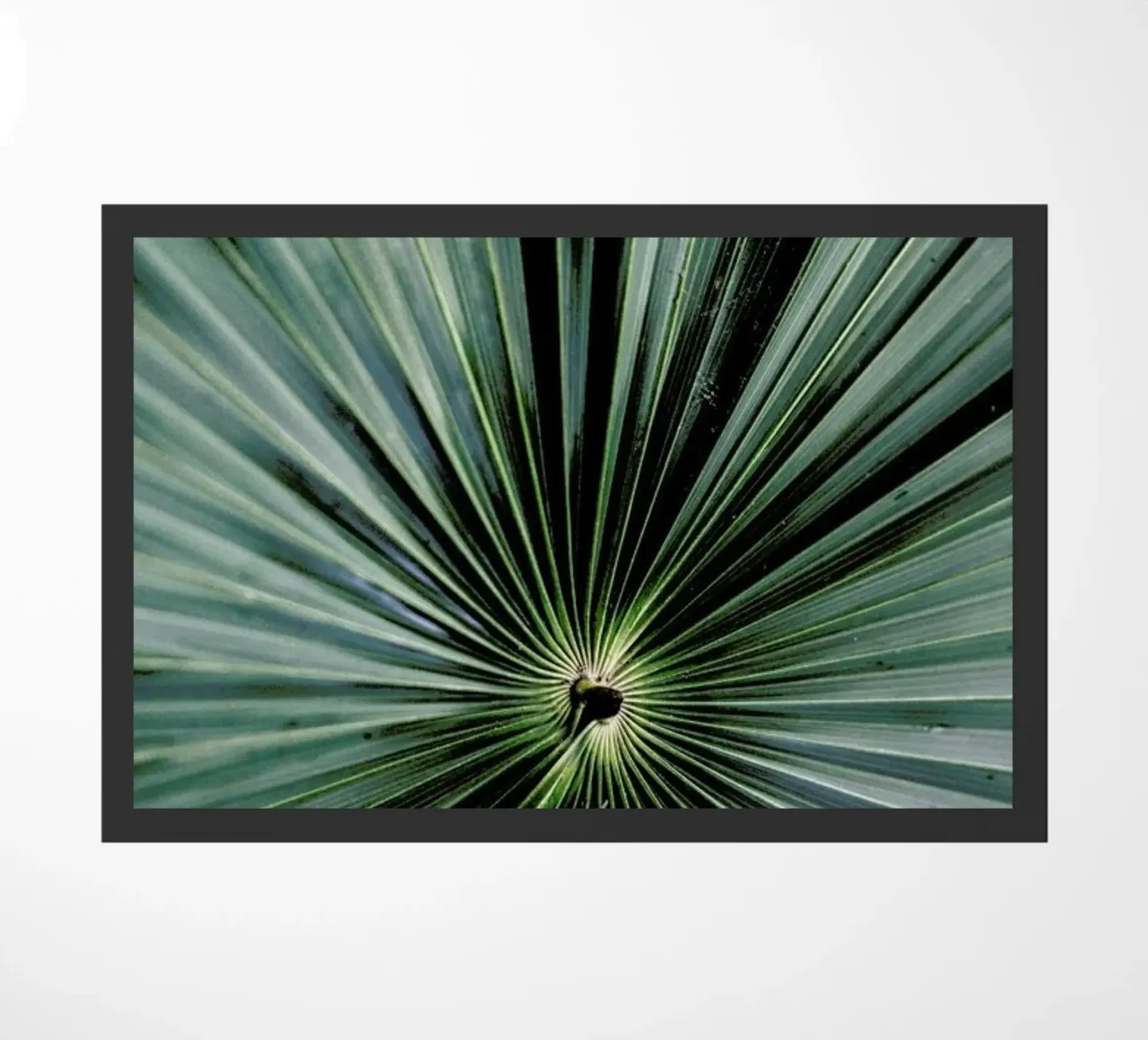 Spiral Palm zerbino da Flora & Fauna
