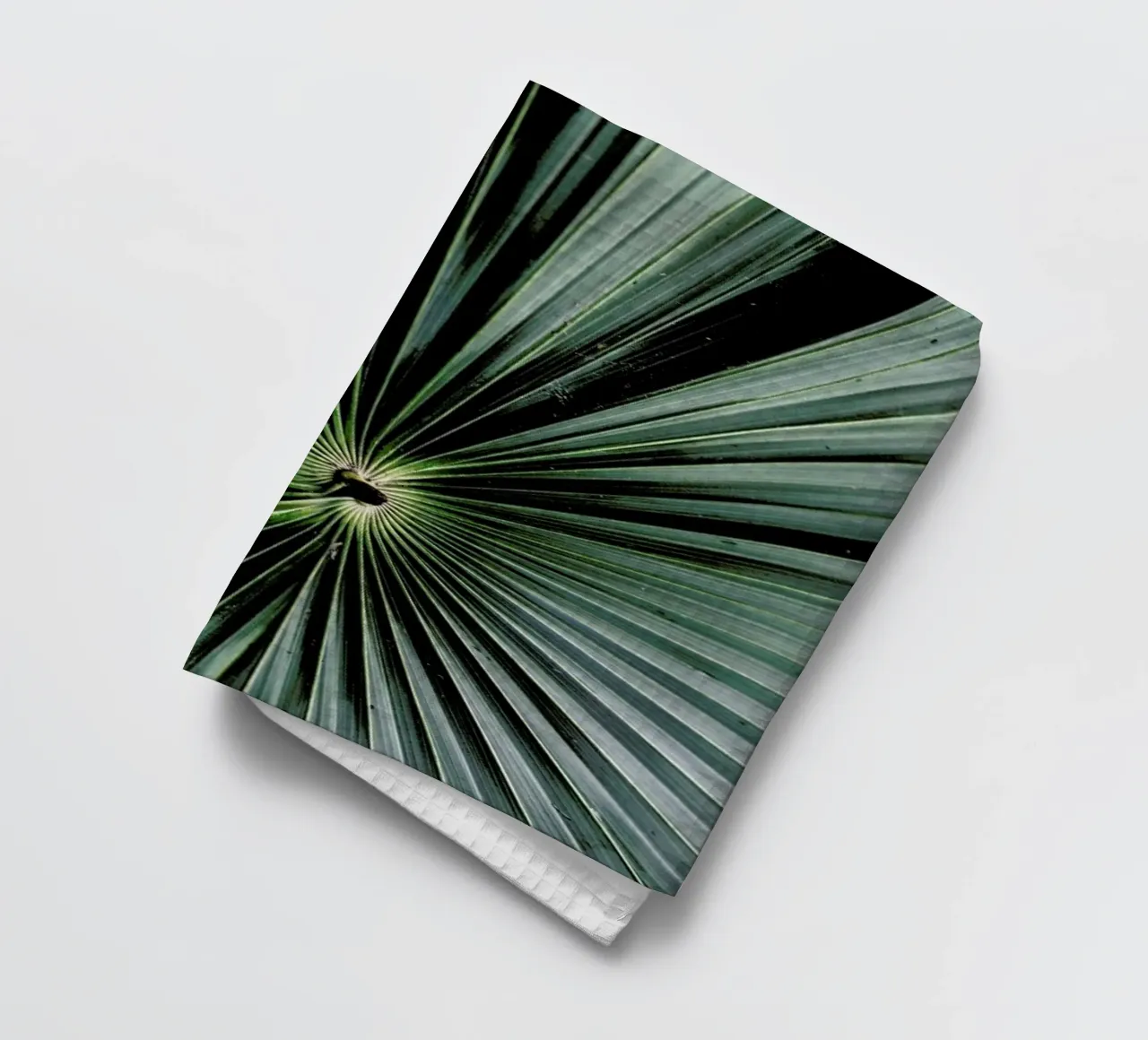 Spiral Palm tea towel by Flora & Fauna
