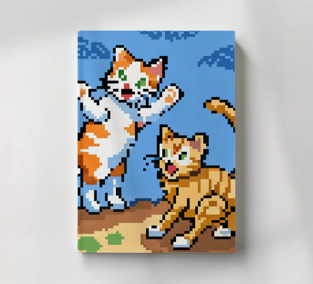 Due gatti che giocano diario da DOG AND CAT