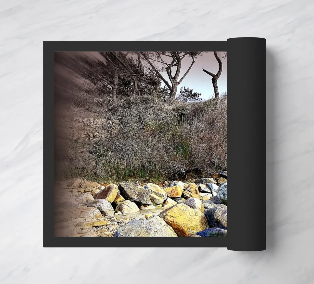 FAA271 zerbino da Thierry vobmann photography