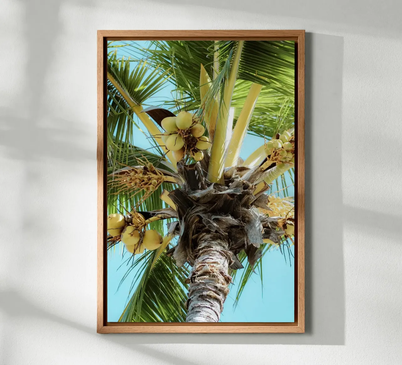 Palm tree with blue sky canvas by Léa Lefebvre Photography