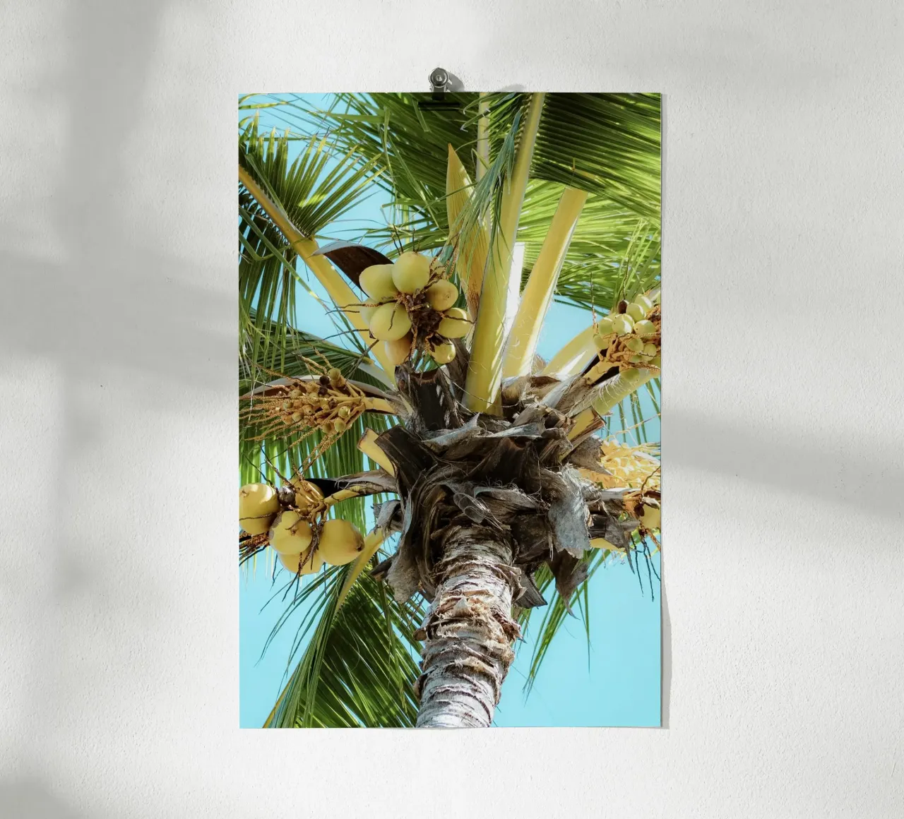 Palm tree with blue sky hahnemühle by Léa Lefebvre Photography