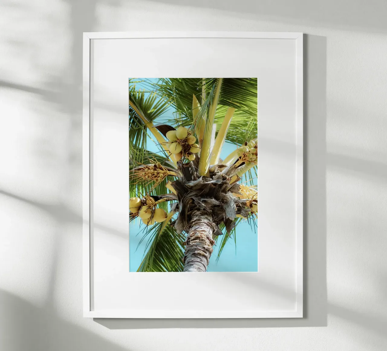 Palm tree with blue sky hahnemühle by Léa Lefebvre Photography