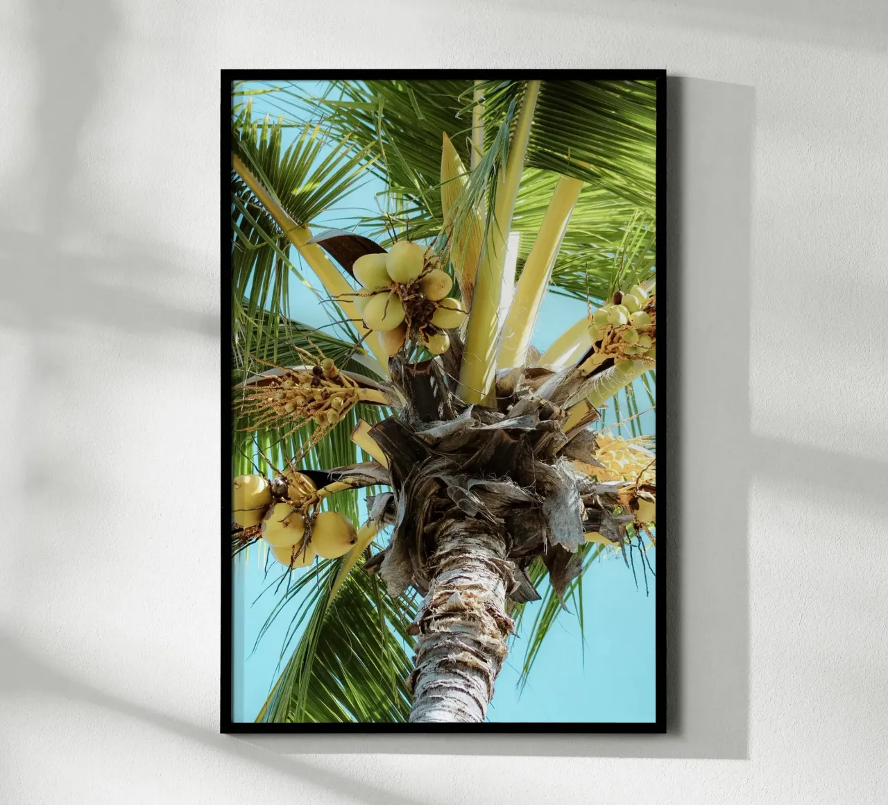 Palma con cielo blu poster da Léa Lefebvre Photography