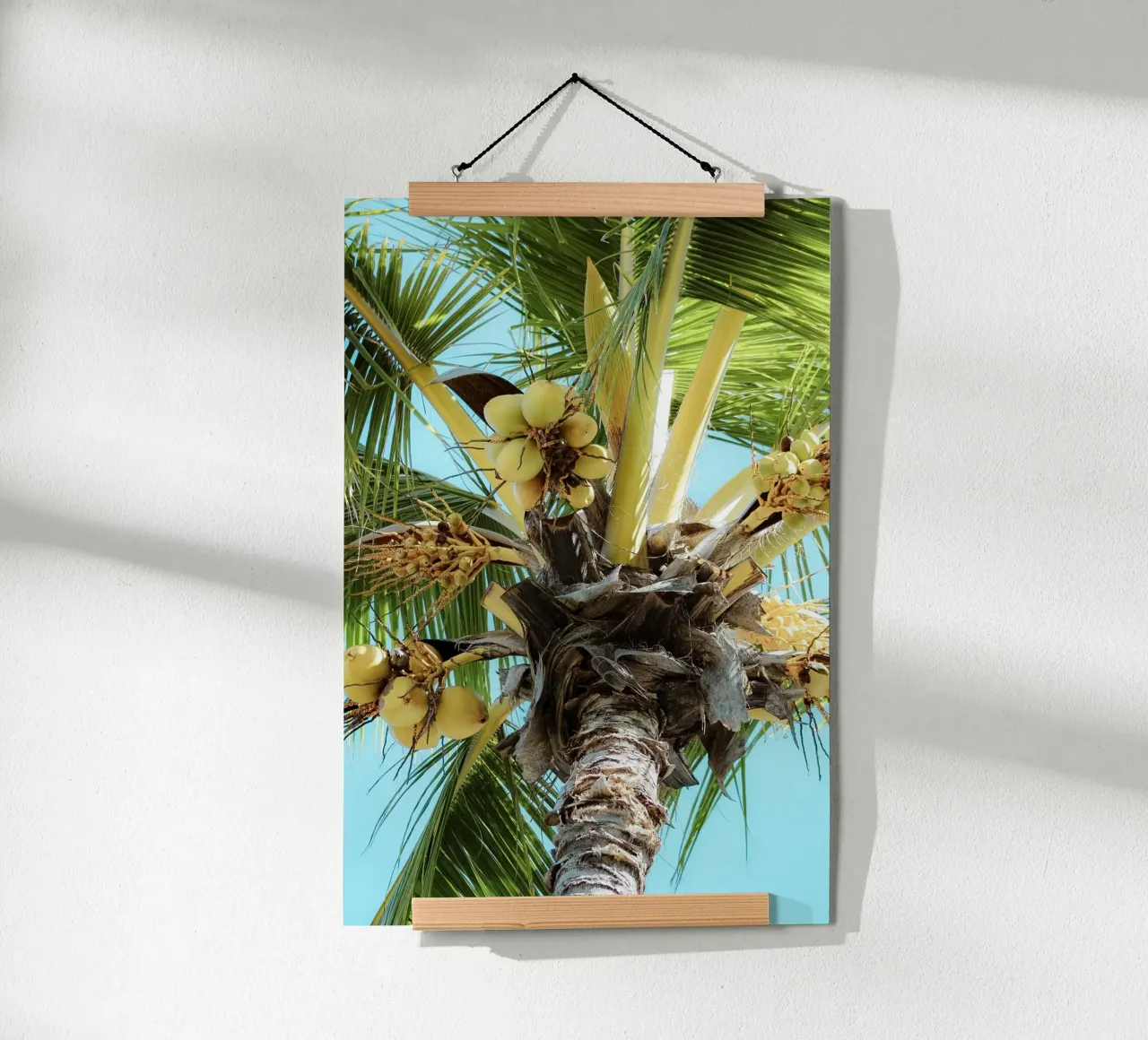 Palma con cielo blu poster da Léa Lefebvre Photography