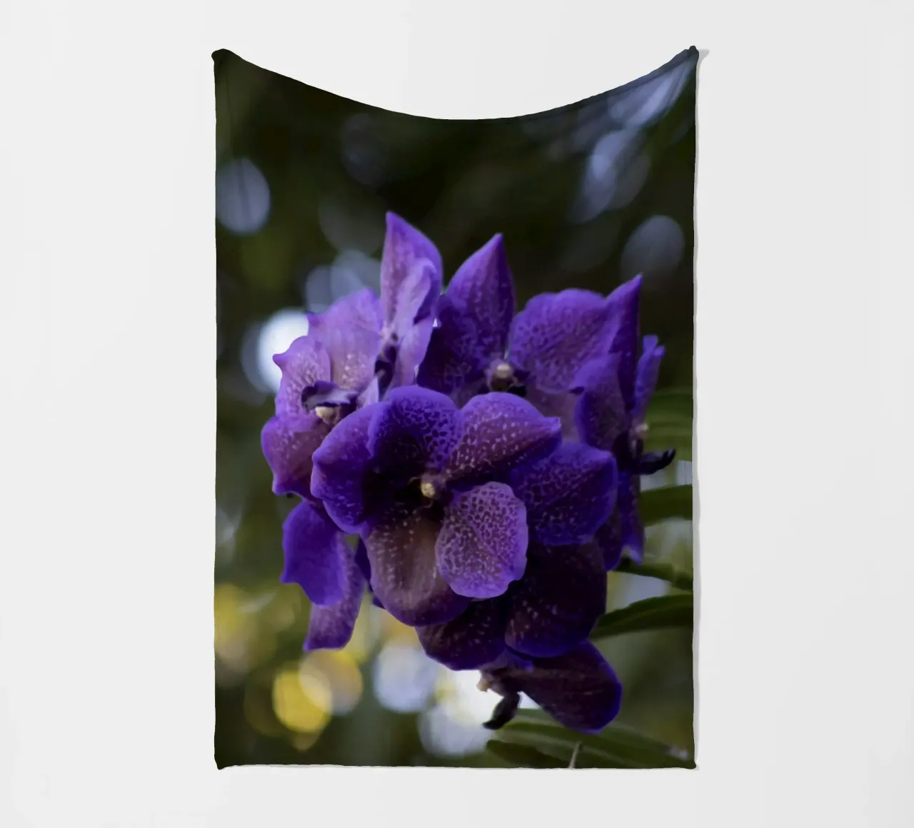 Orchidea viola coperta in pile da Léa Lefebvre Photography