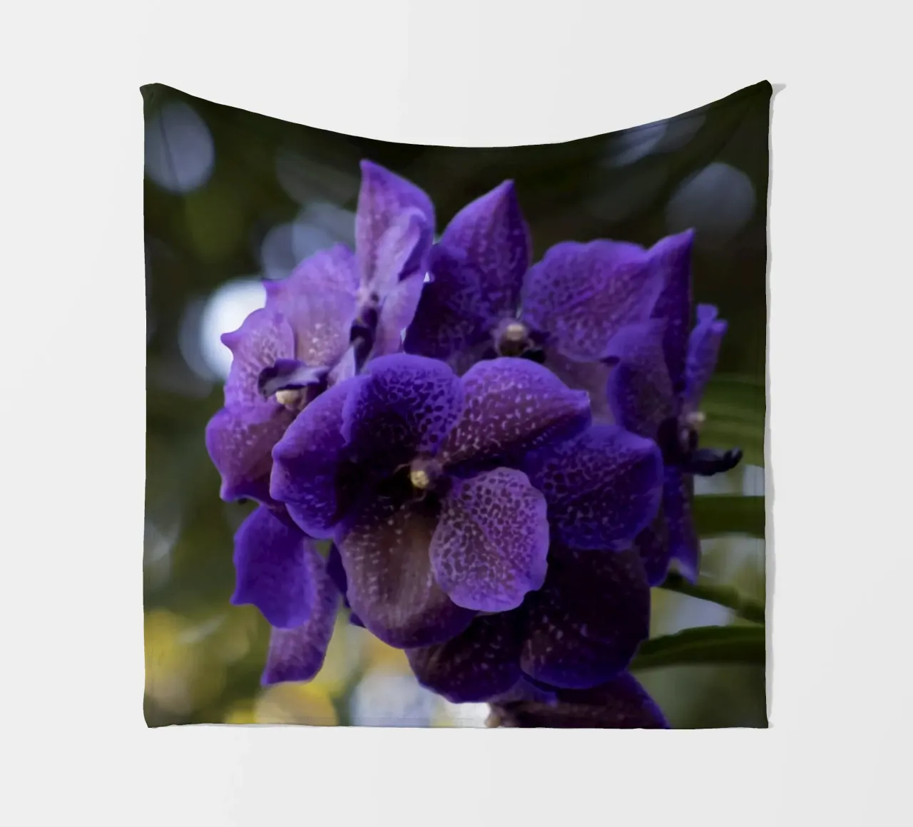 Orchidea viola coperta in pile da Léa Lefebvre Photography