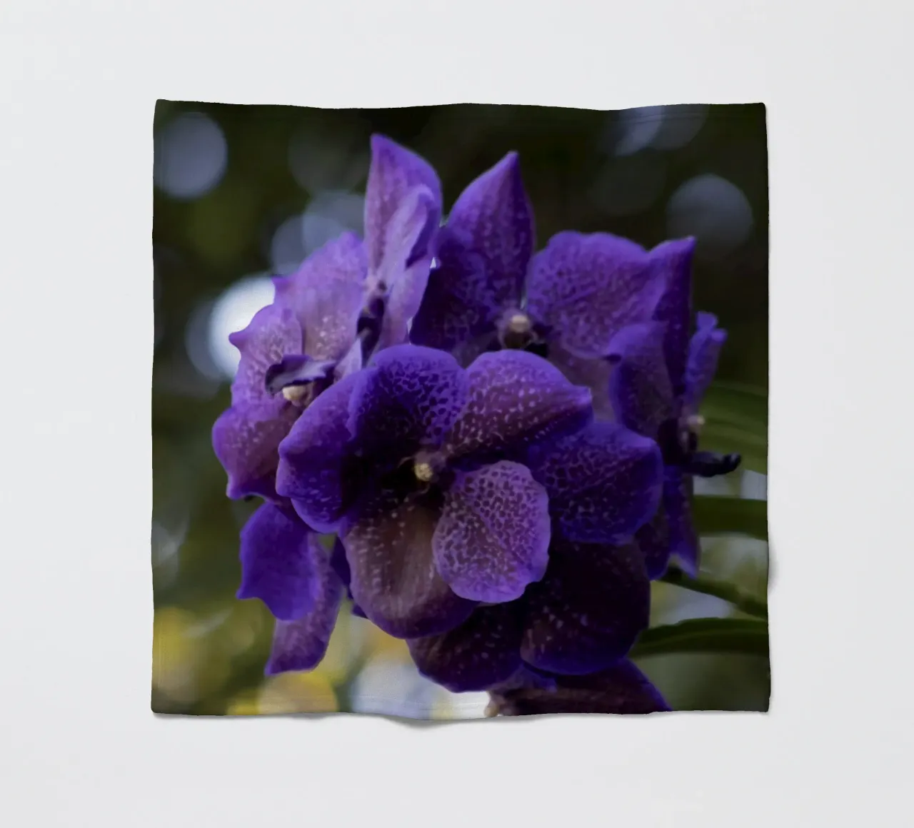 Orchidea viola coperta in pile da Léa Lefebvre Photography