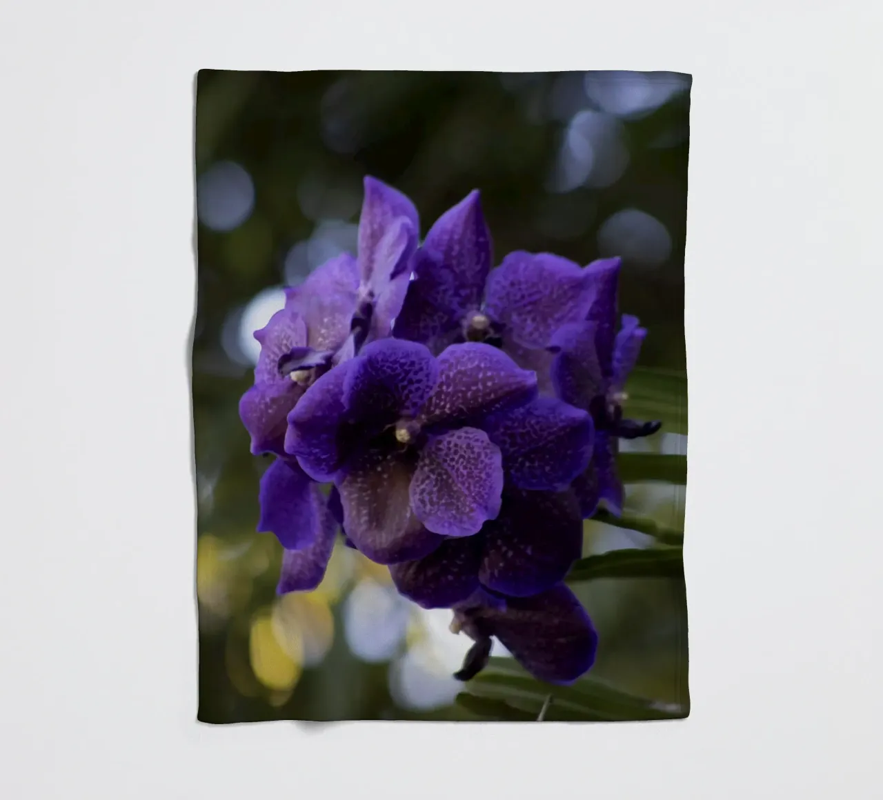 Orchidea viola coperta in pile da Léa Lefebvre Photography