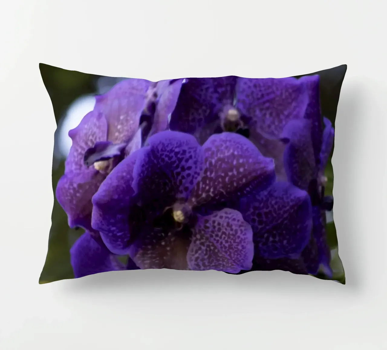 Orchidea viola cuscino da Léa Lefebvre Photography