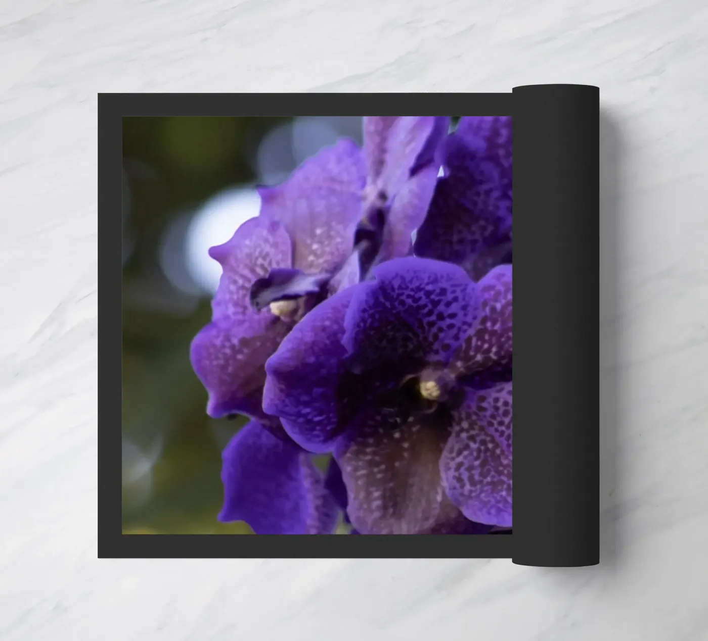 Purple Orchid zerbino da Léa Lefebvre Photography