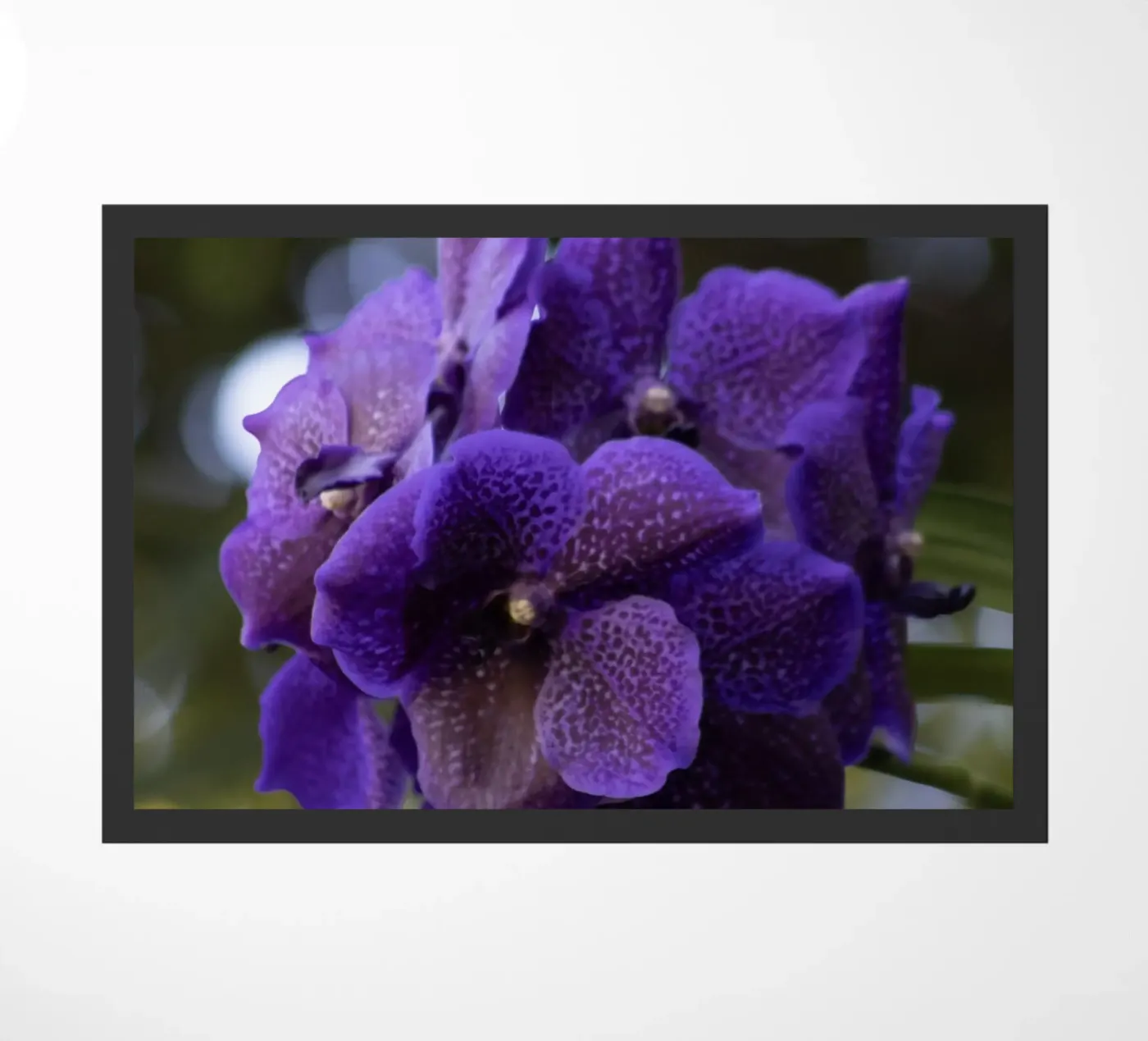 Paarse orchidee deurmat van Léa Lefebvre Photography